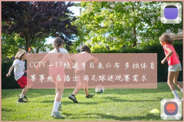 CCTV一17频道节目表公布 多档体育赛事轮番播出 满足球迷观赛需求