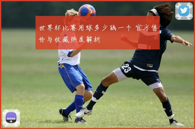 世界杯比赛用球多少钱一个 官方售价与收藏热度解析