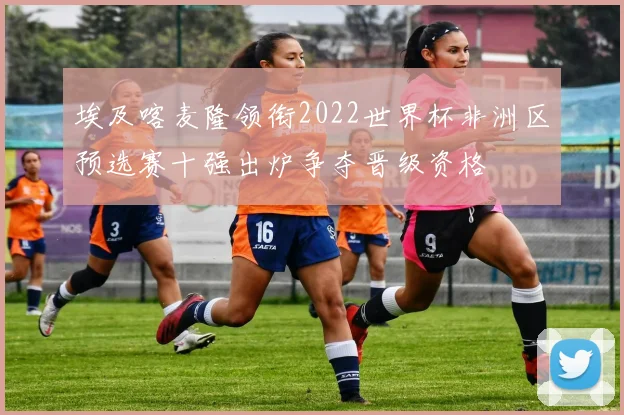 埃及喀麦隆领衔2022世界杯非洲区预选赛十强出炉争夺晋级资格